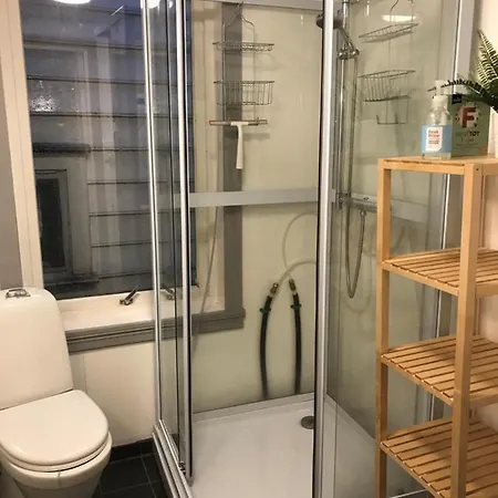 Apartment Nedre Banesmauet *